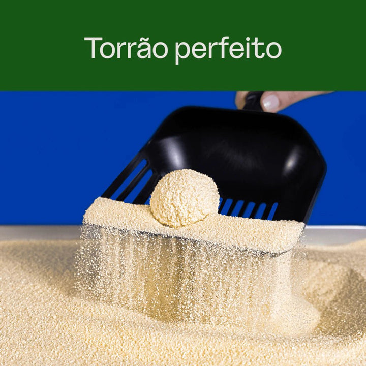 Areia Gato Viva Verde Grãos Finos - Ronron Home