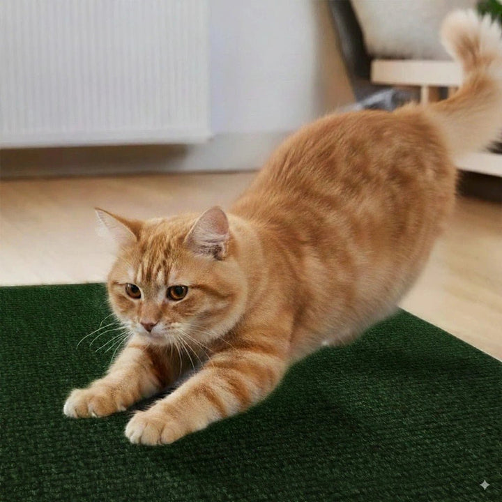 Arranhador para Gato Adesivo Premium - da Ronron - Ronron Home