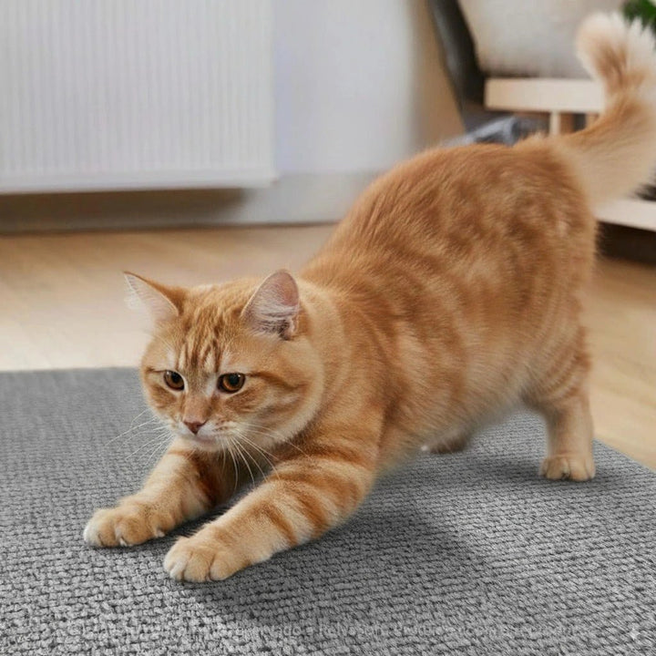 Arranhador para Gato Adesivo Premium - da Ronron - Ronron Home