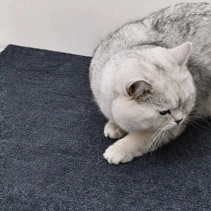 Arranhador para Gato Auto - Adesivo 60x30cm - Ronron Home