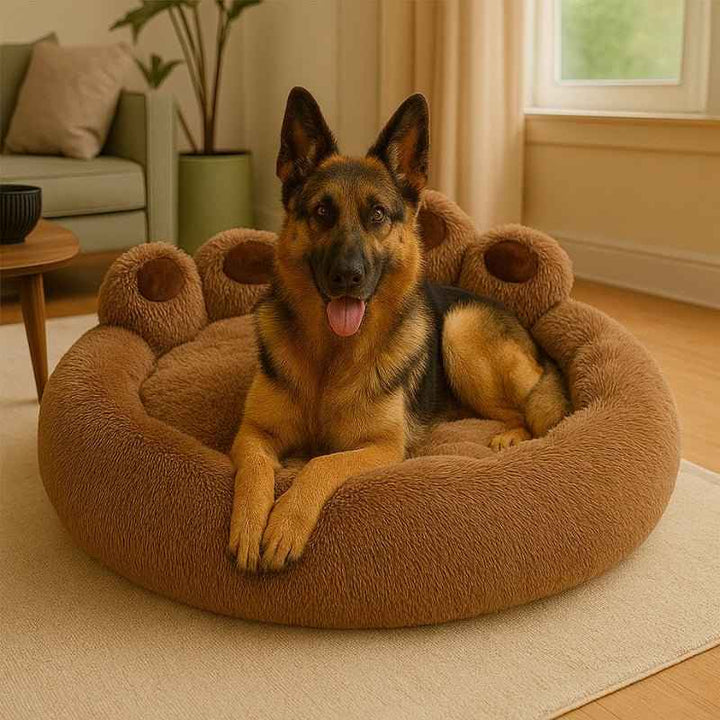 Cama para Cachorro Pata Marrom – da Ronron