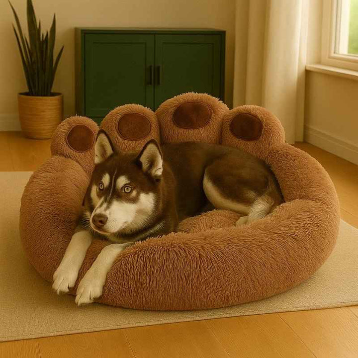 Cama para Cachorro Pata Marrom – da Ronron