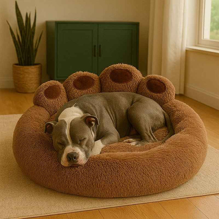Cama para Cachorro Pata Marrom – da Ronron