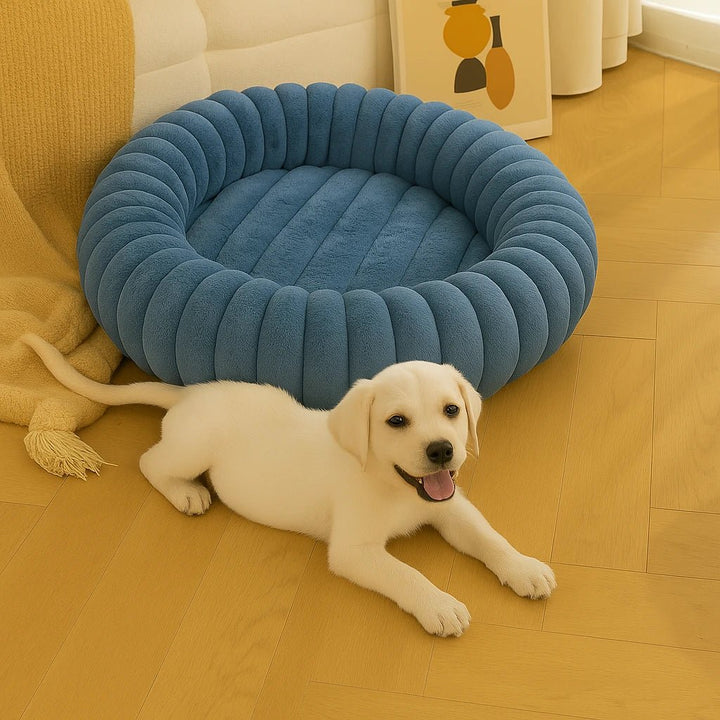 Cama para Cachorros Modelo Donut Premium Azul - da Ronron - Ronron Home