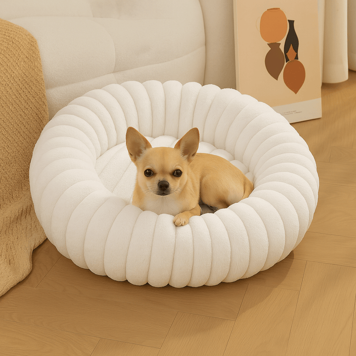 Cama para Cachorros Modelo Donut Premium Branca - da Ronron - Ronron Home