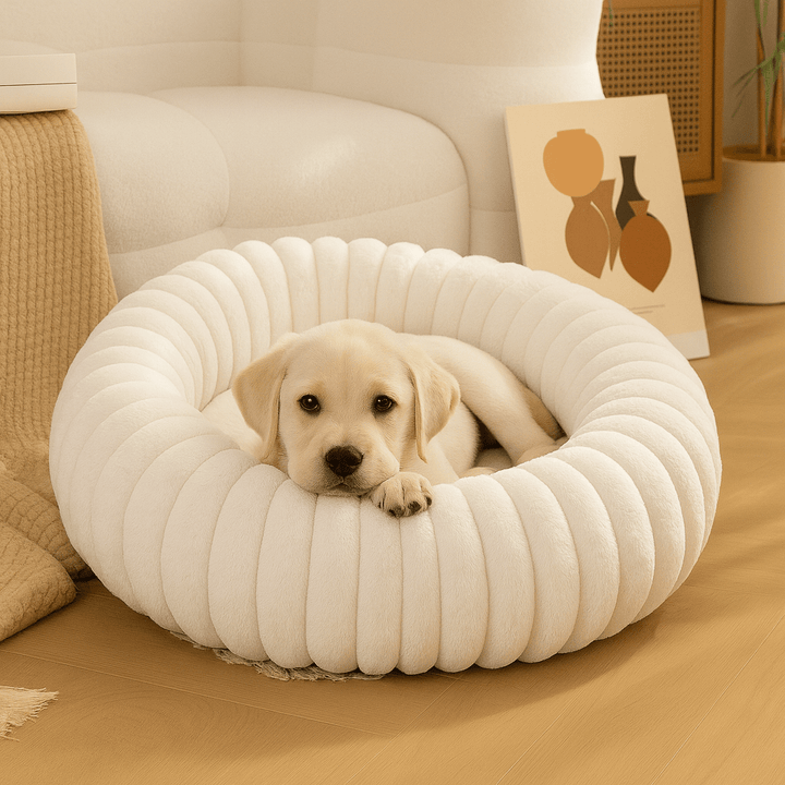 Cama para Cachorros Modelo Donut Premium Branca - da Ronron - Ronron Home