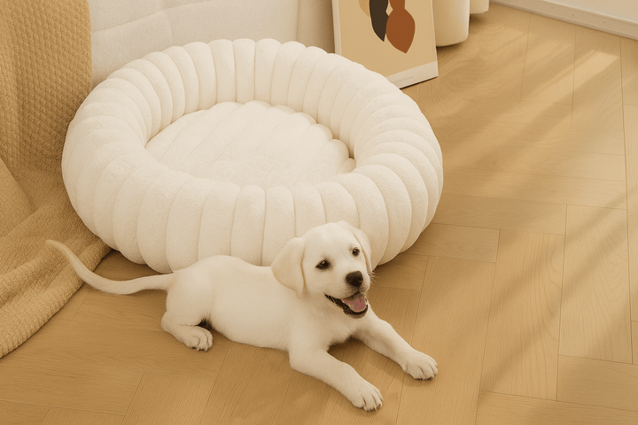 Cama para Cachorros Modelo Donut Premium Branca - da Ronron - Ronron Home
