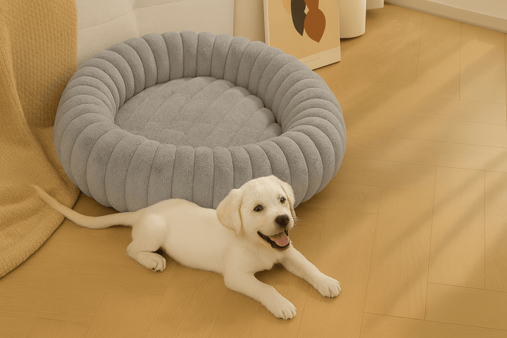 Cama para Cachorros Modelo Donut Premium Cinza - da Ronron - Ronron Home