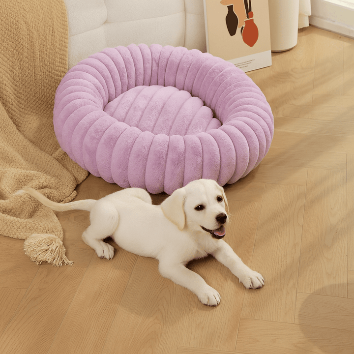 Cama para Cachorros Modelo Donut Premium Roxa - da Ronron - Ronron Home
