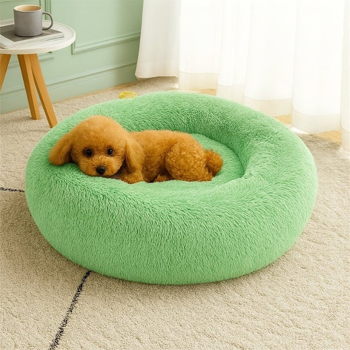 Cama para Cachorros Nuvem Verde - da Ronron - Ronron Home