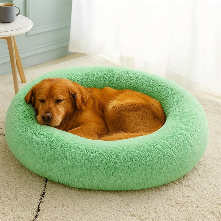 Cama para Cachorros Nuvem Verde - da Ronron - Ronron Home