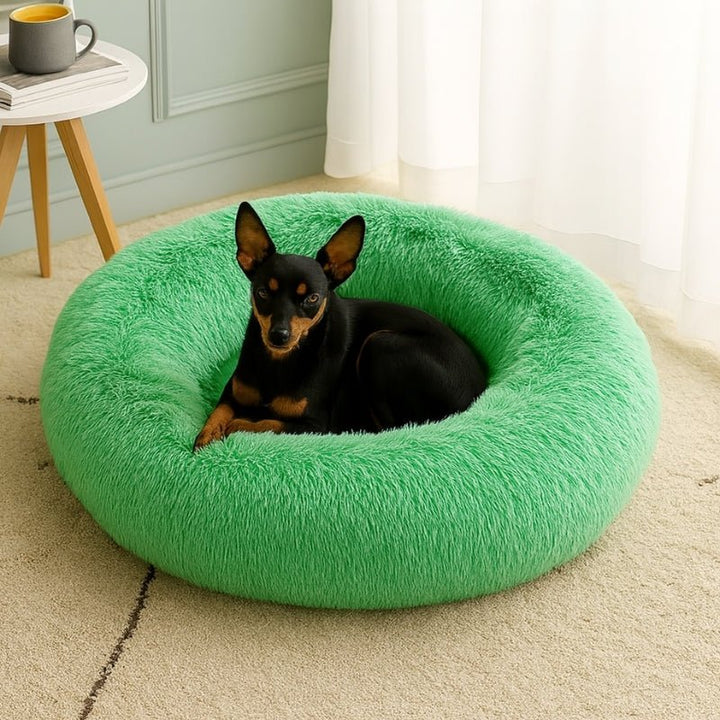 Cama para Cachorros Nuvem Verde - da Ronron - Ronron Home