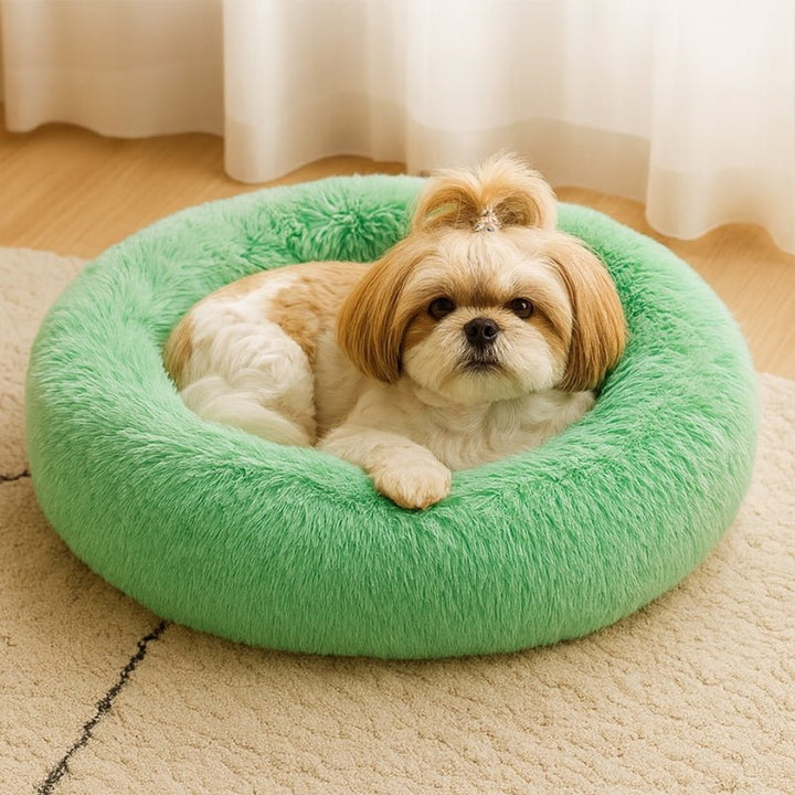 Cama para Cachorros Nuvem Verde - da Ronron - Ronron Home