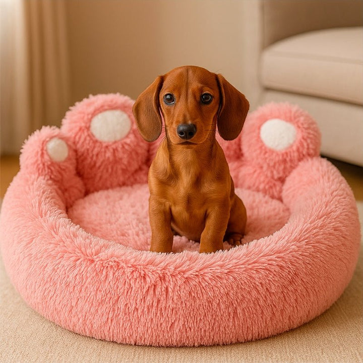 Cama para Cachorros Pata Rosa - da Ronron - Ronron Home