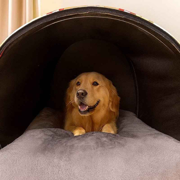 Cama para Cachorros Túnel Pet 4 Estações - da Ronron