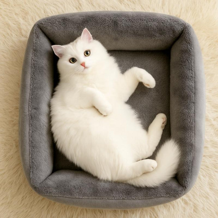 Cama para Gatos Premium Cinza - da Ronron - Ronron Home