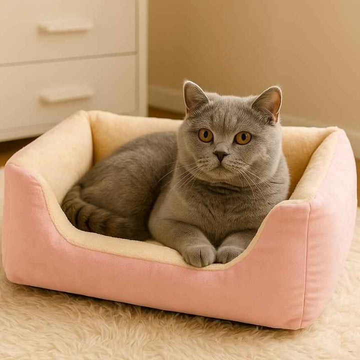 Cama para Gatos Premium Rosa - da Ronron