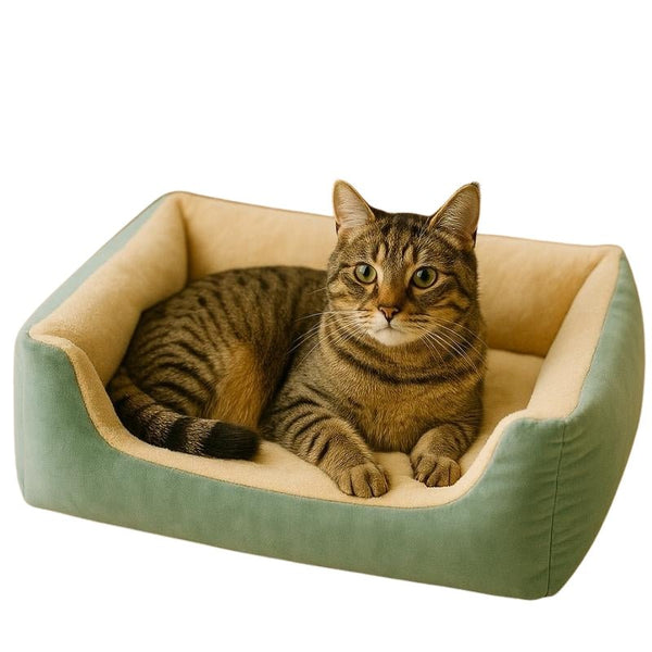 Cama para Gatos Premium Verde - da Ronron - Ronron Home