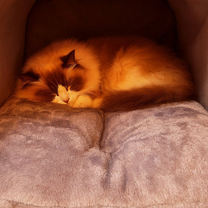 Cama para Gatos Toca Premium de Outono - da Ronron - Ronron Home