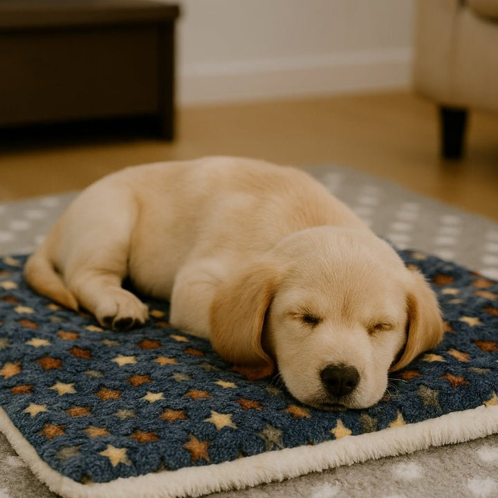 Cobertor para Cachorro Premium Flanela Soft com Proteção Térmica - da Ronron - Ronron Home