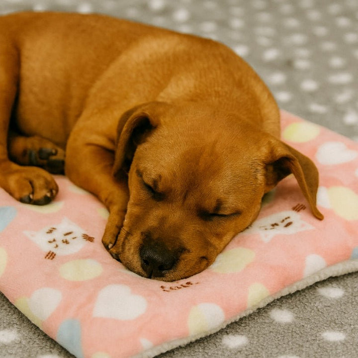 Cobertor para Cachorro Premium Flanela Soft com Proteção Térmica - da Ronron - Ronron Home