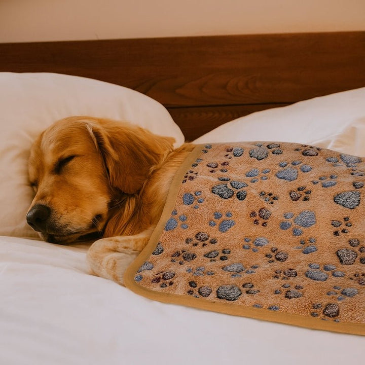 Cobertor para Cachorro Premium Soft Fluffy - da Ronron - Ronron Home
