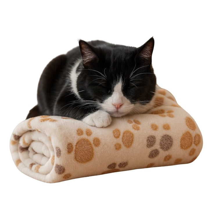Cobertor para Gato Premium Soft Fluffy - da Ronron - Ronron Home